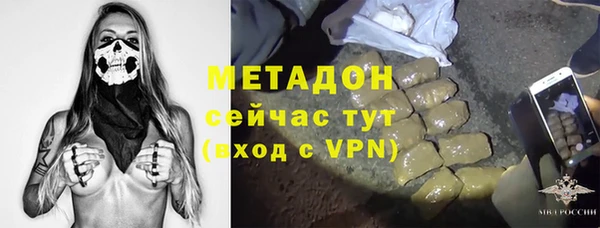 PSILOCYBIN Белокуриха