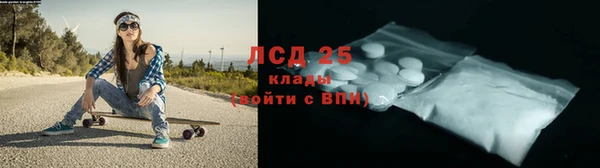 PSILOCYBIN Белокуриха