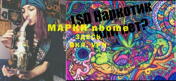 PSILOCYBIN Белокуриха