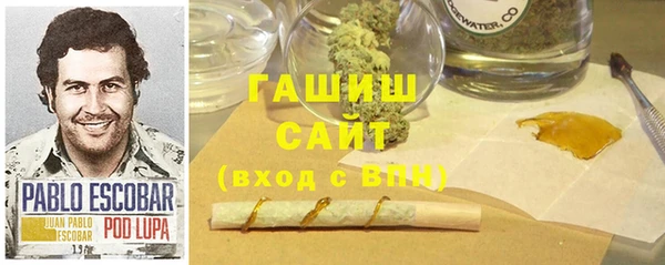 PSILOCYBIN Белокуриха